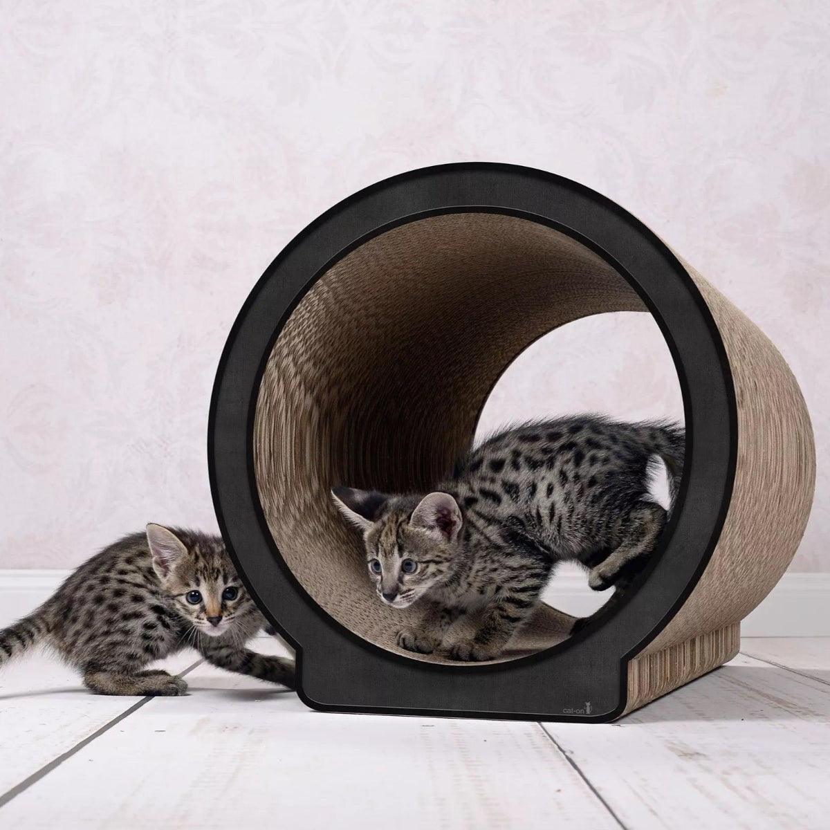 Griffoir pour chat design - LE ROND - Kasibe