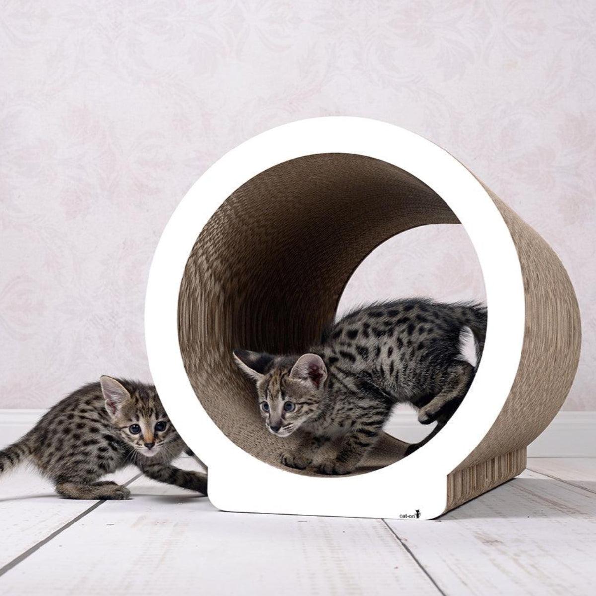Griffoir pour chat design - LE ROND - Kasibe