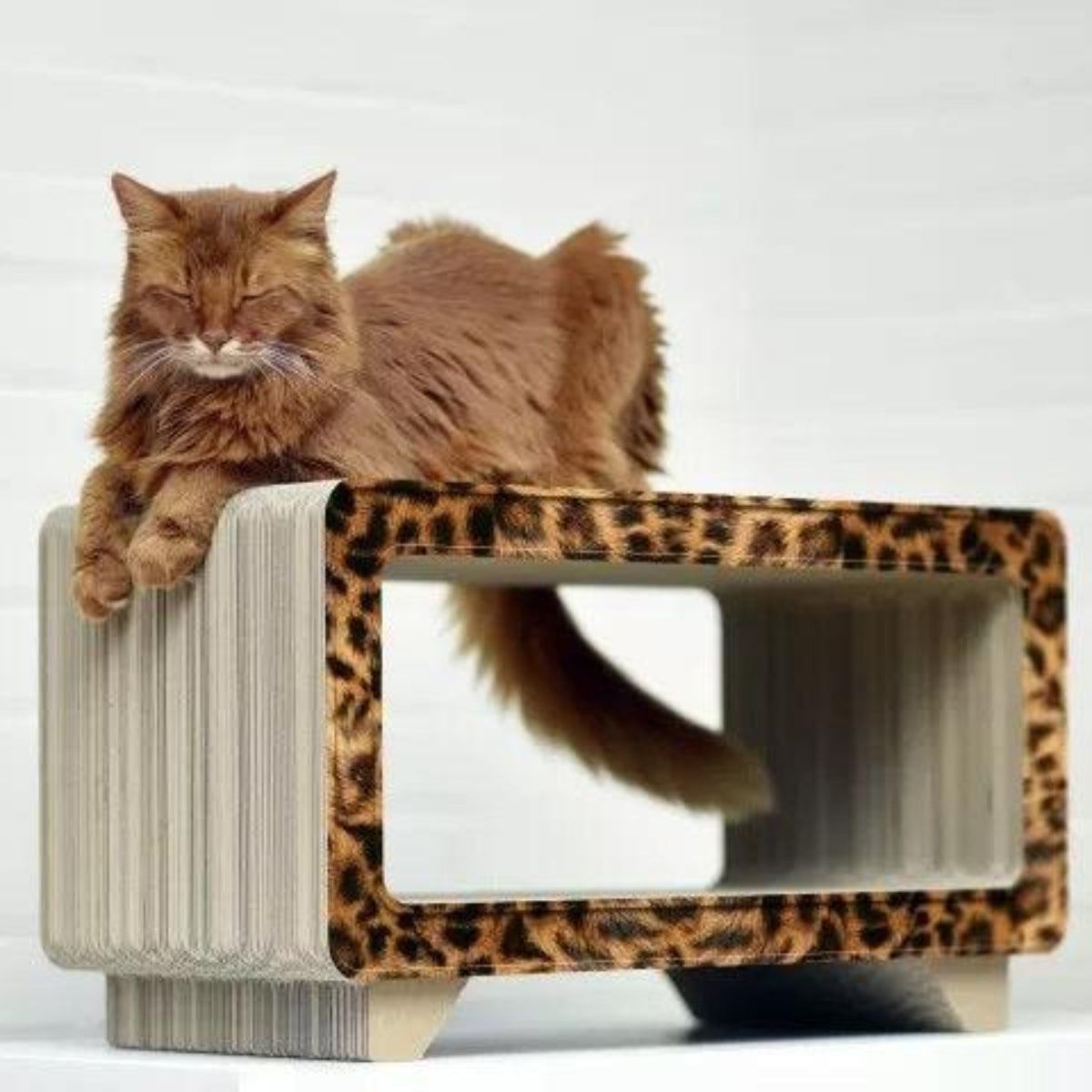 Griffoir pour chat en carton - LA TELE - Kasibe