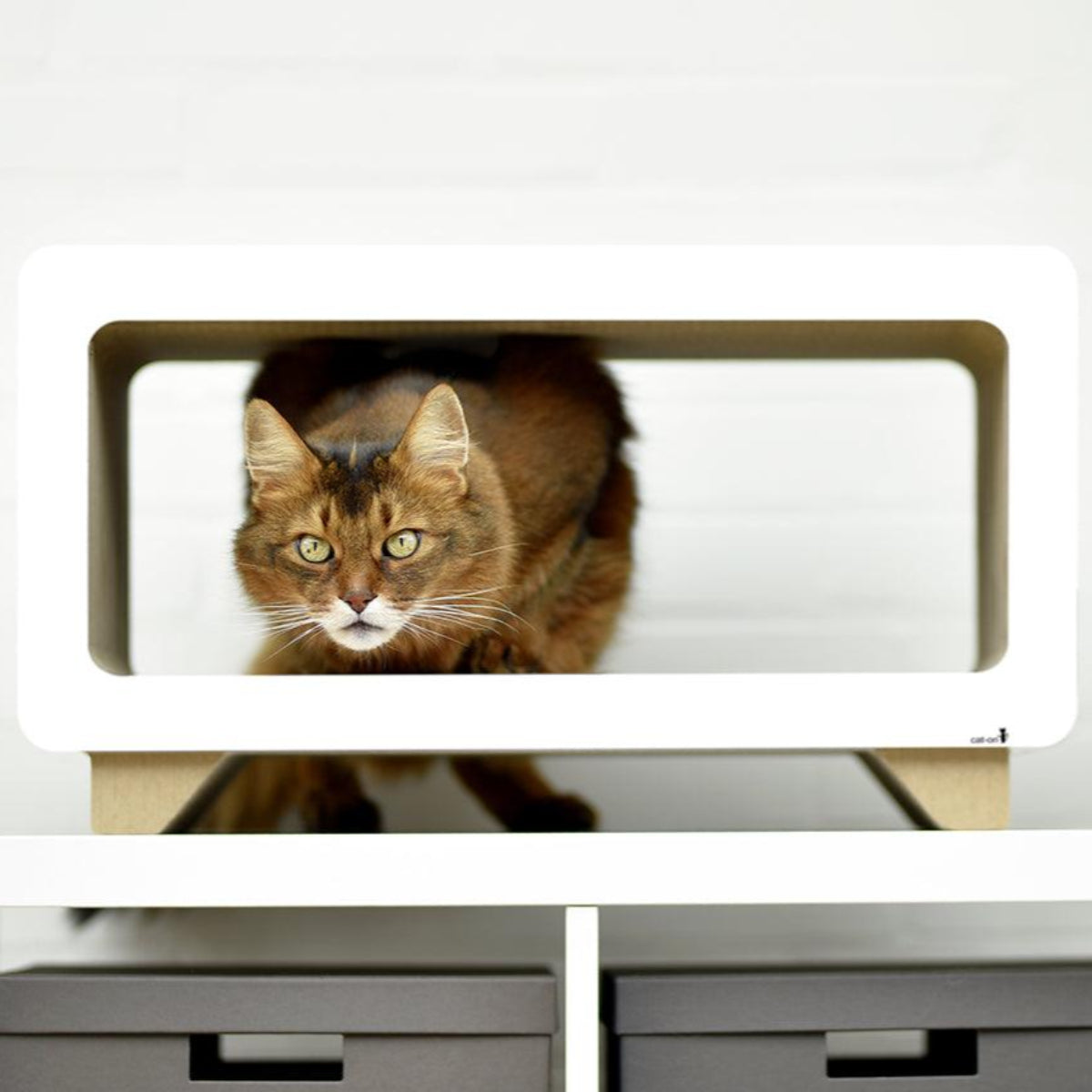 Griffoir pour chat en carton - LA TELE - Kasibe