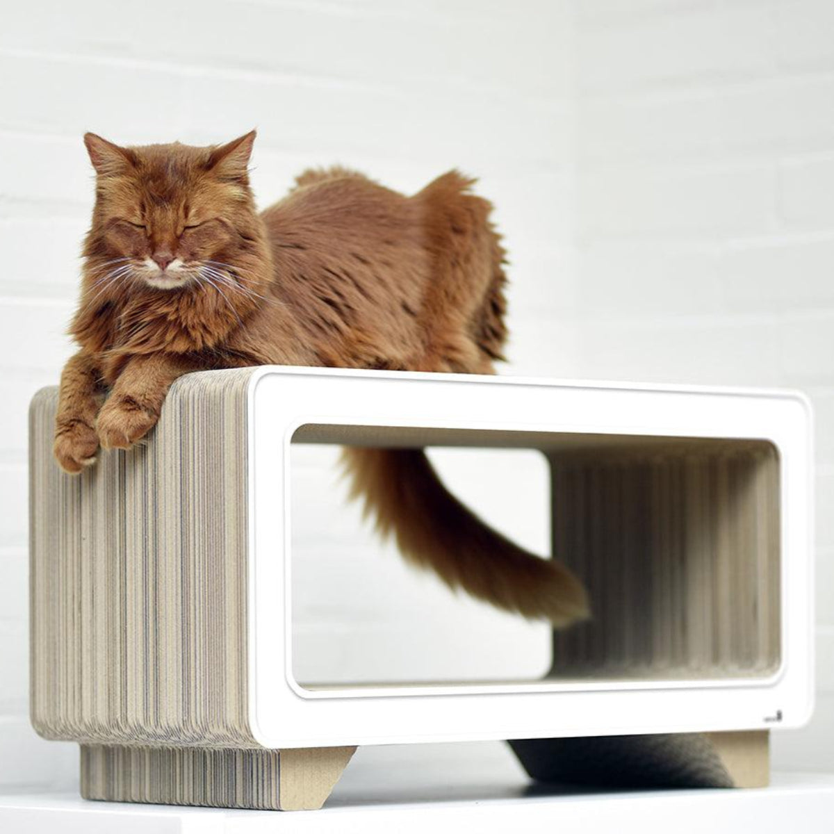 Griffoir pour chat en carton - LA TELE - Kasibe