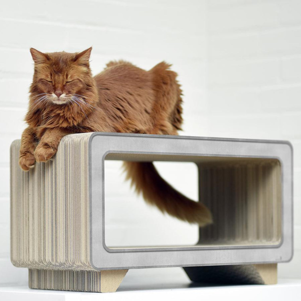 Griffoir pour chat en carton - LA TELE - Kasibe