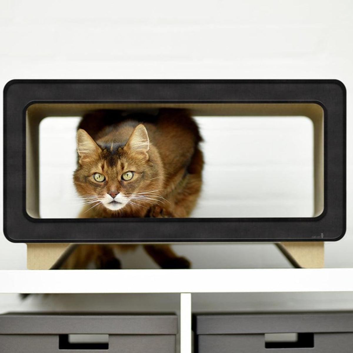 Griffoir pour chat en carton - LA TELE - Kasibe