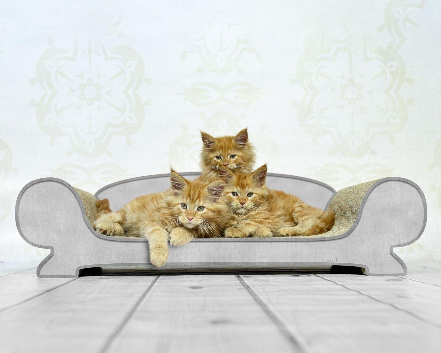Griffoir relax pour chat - VERTIGE - Kasibe