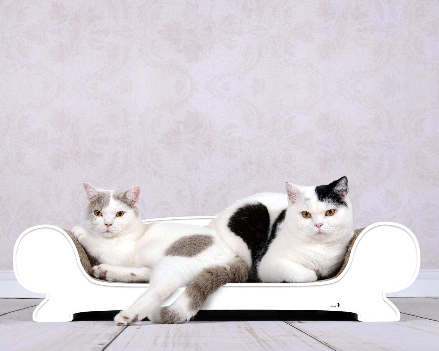 Griffoir relax pour chat - VERTIGE - Kasibe
