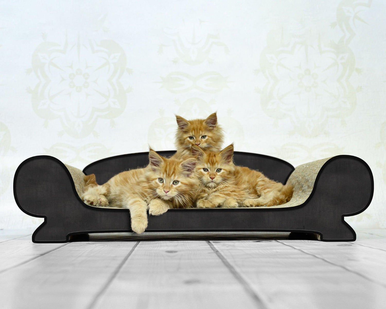 Griffoir relax pour chat - VERTIGE - Kasibe