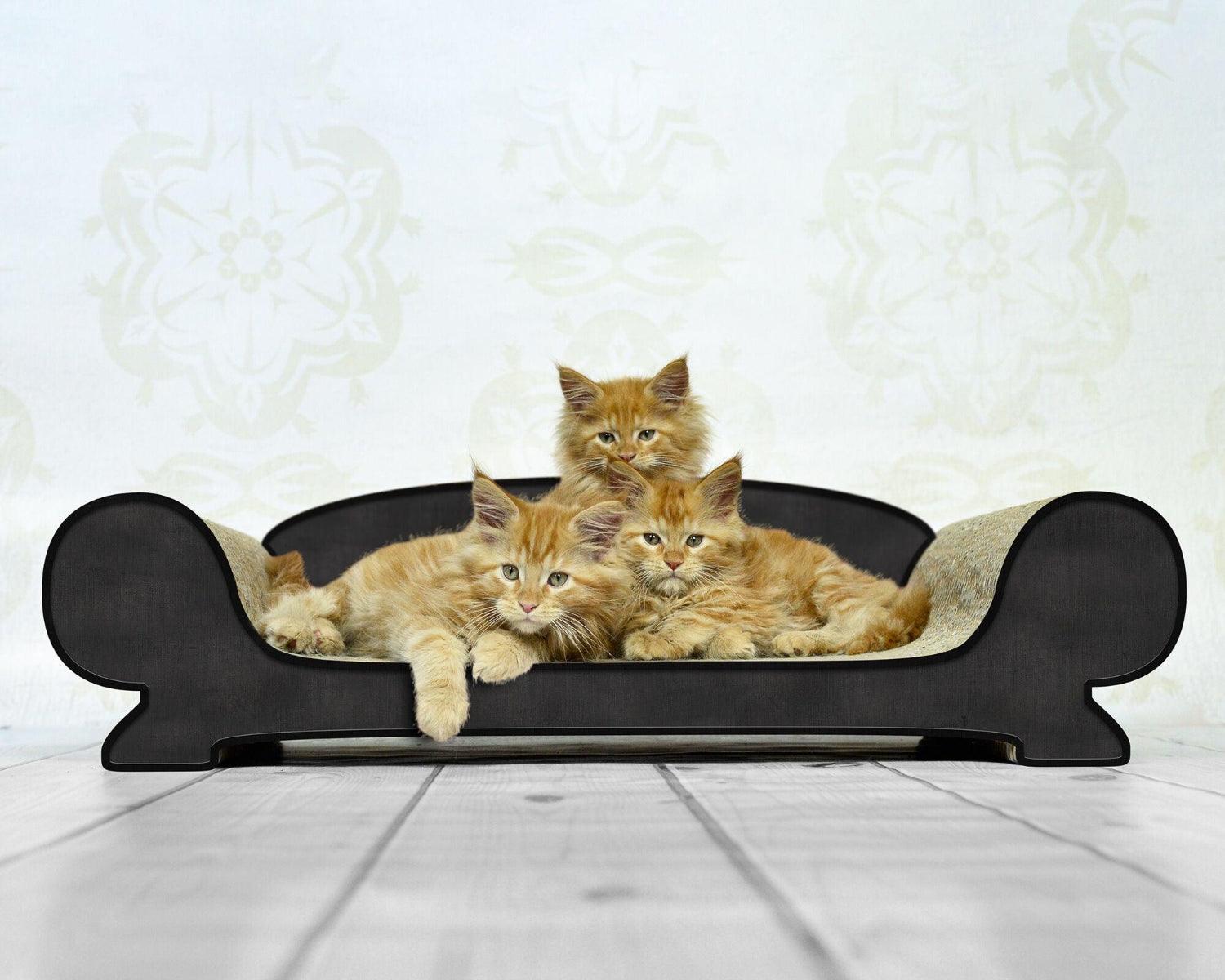Griffoir relax pour chat - VERTIGE - Kasibe