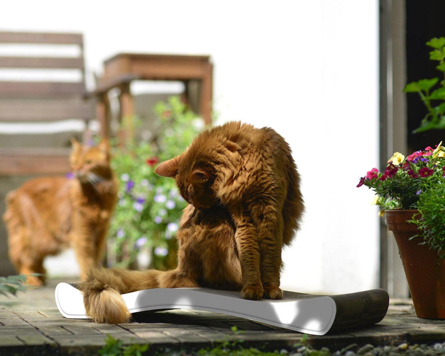 Griffoir vague pour chat - OLA - Kasibe