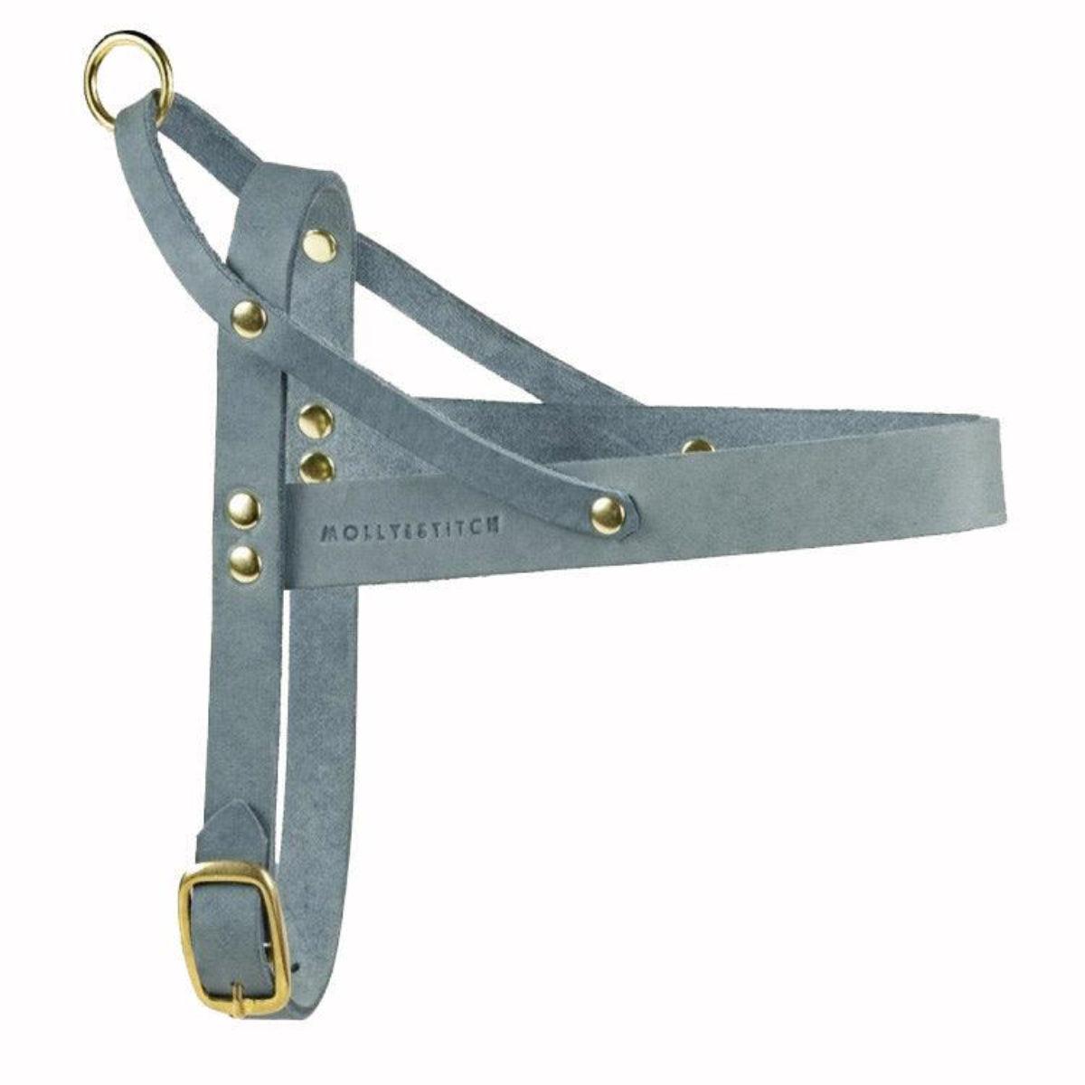 Harnais en cuir pour chien avec poignée de sécurité - BUTTER - Kasibe