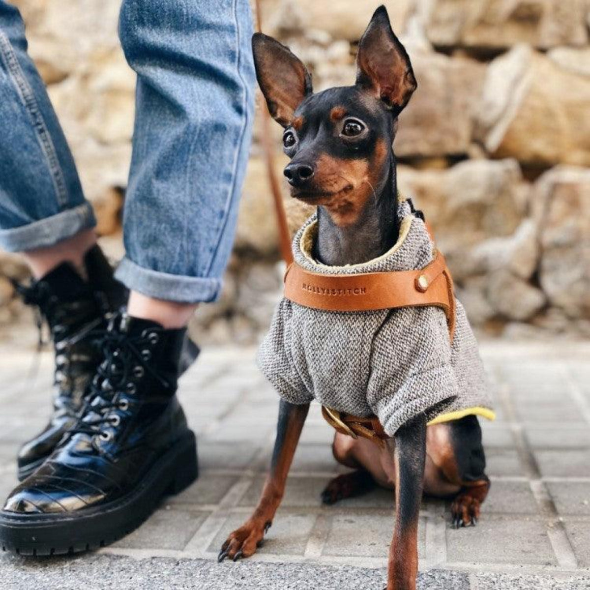 Harnais en cuir pour chien avec poignée de sécurité - BUTTER - Kasibe