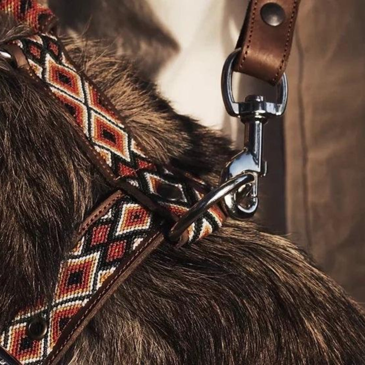 Harnais en Y pour chien mexicain brodé à la main - Kasibe