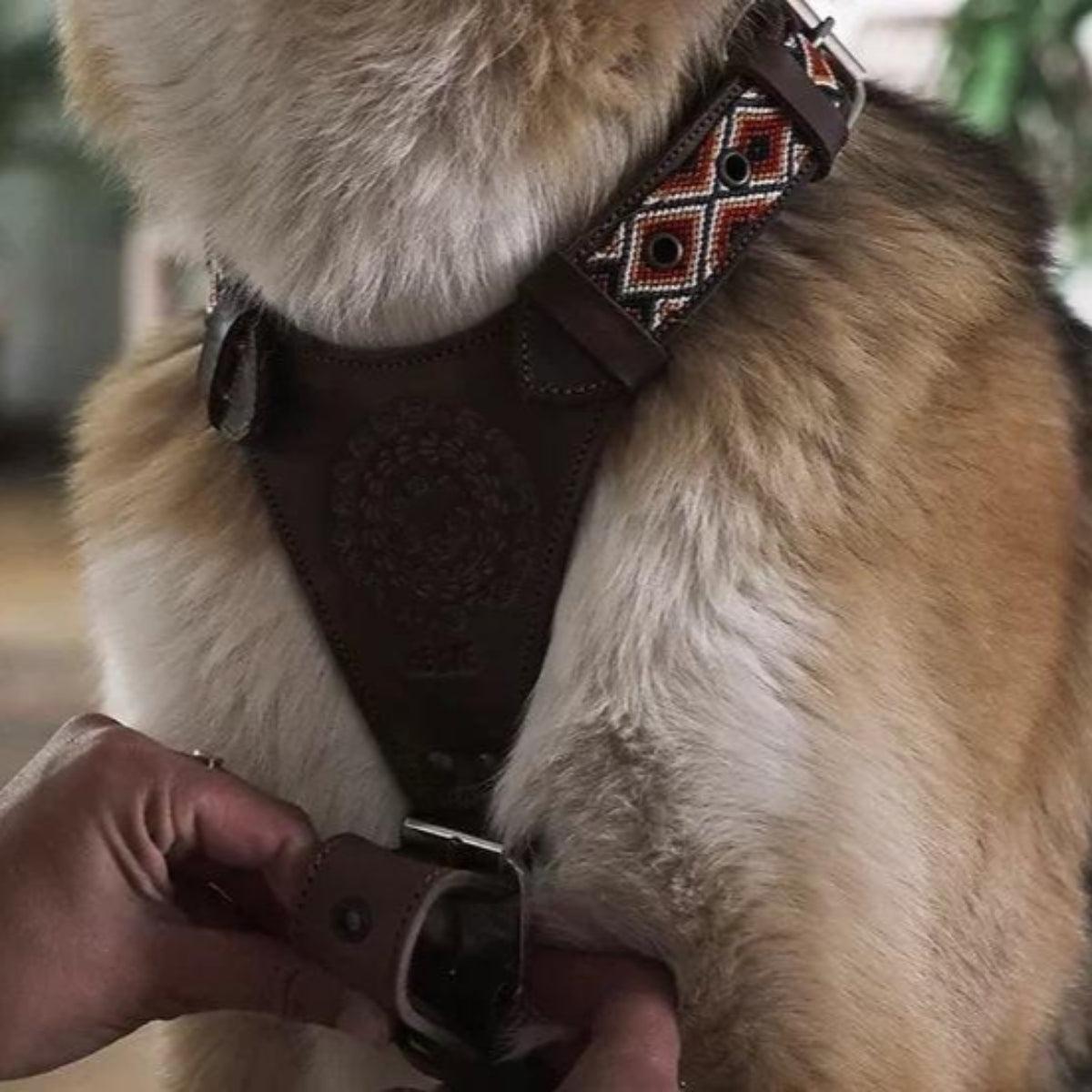 Harnais en Y pour chien mexicain brodé à la main - Kasibe
