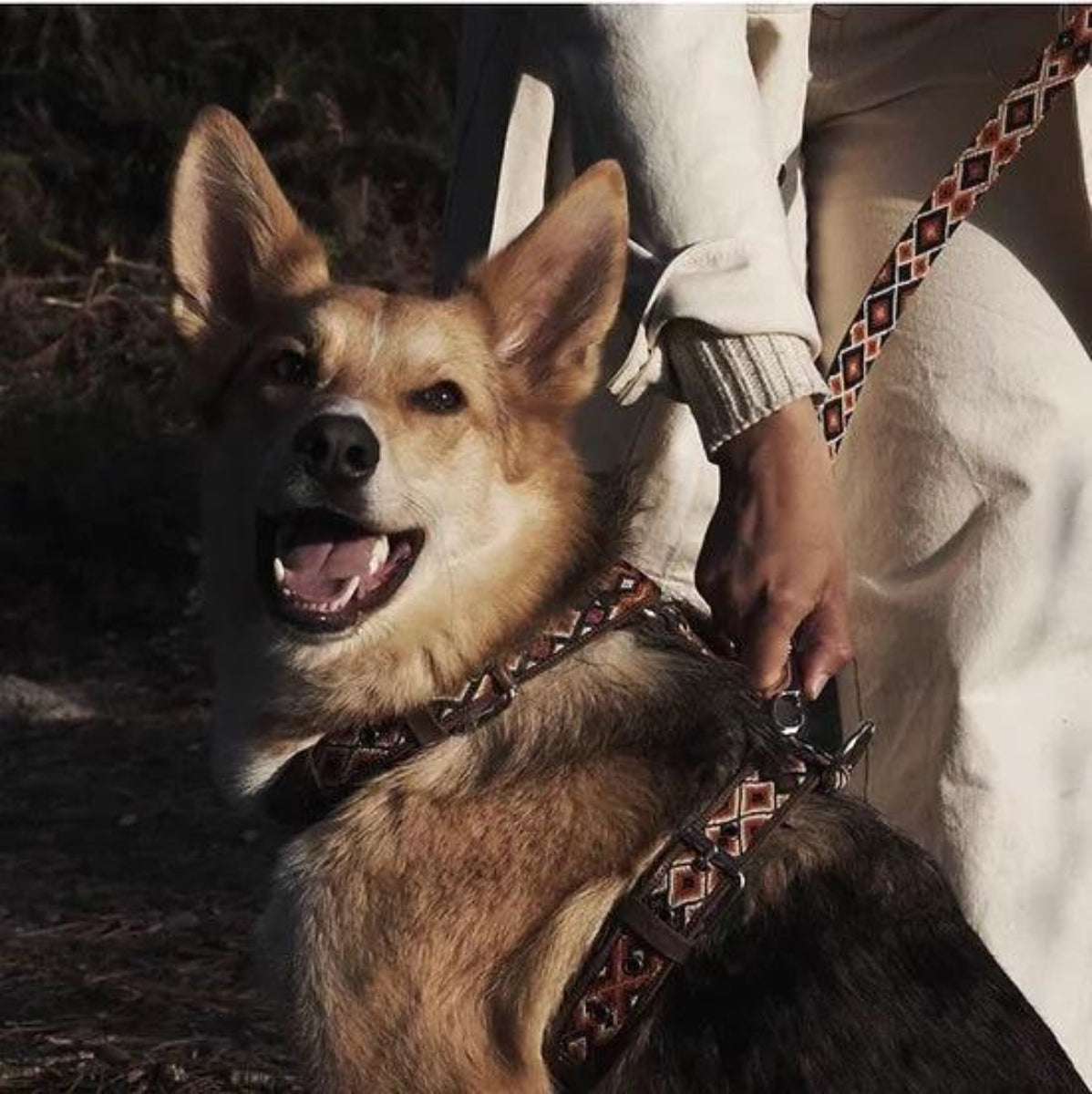 Harnais en Y pour chien mexicain brodé à la main - Kasibe