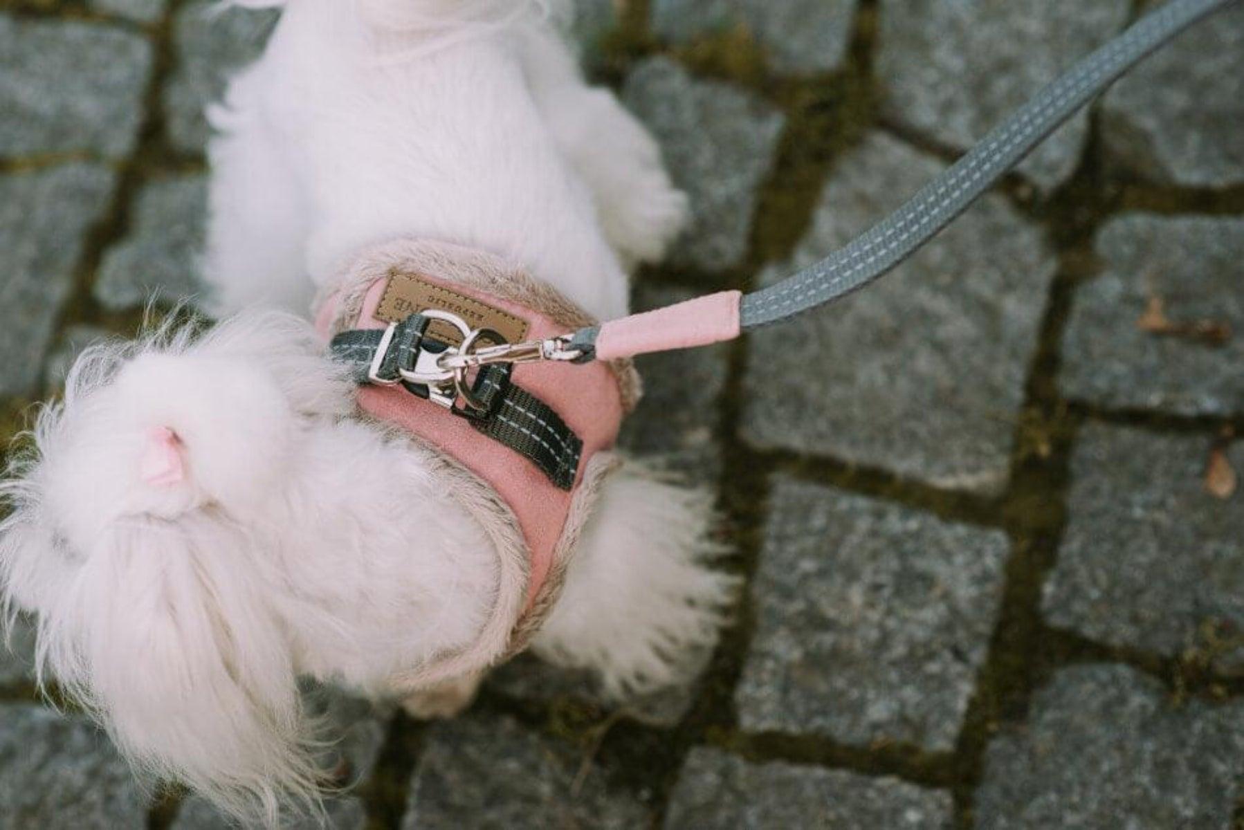 Harnais confort pour chien doublé en fourrure Yeti - kasibe