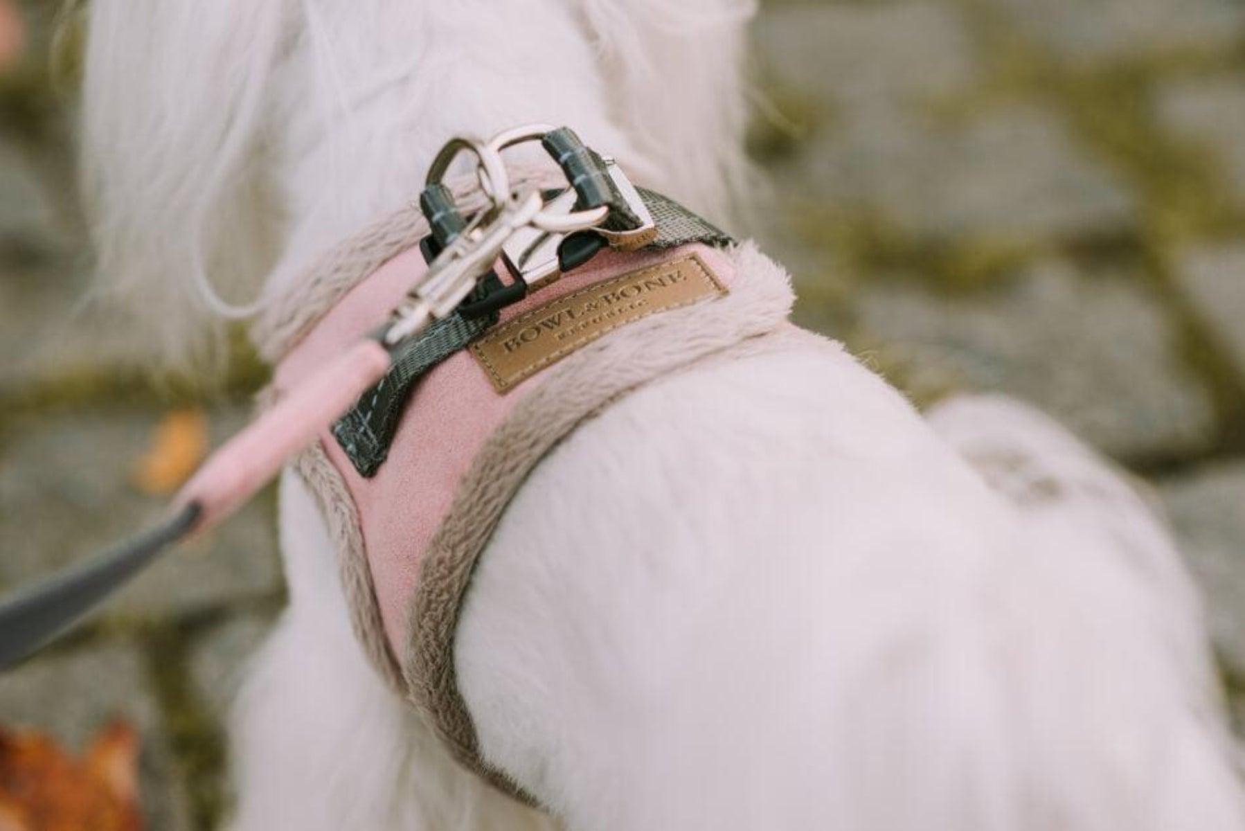 Harnais confort pour chien doublé en fourrure Yeti - kasibe