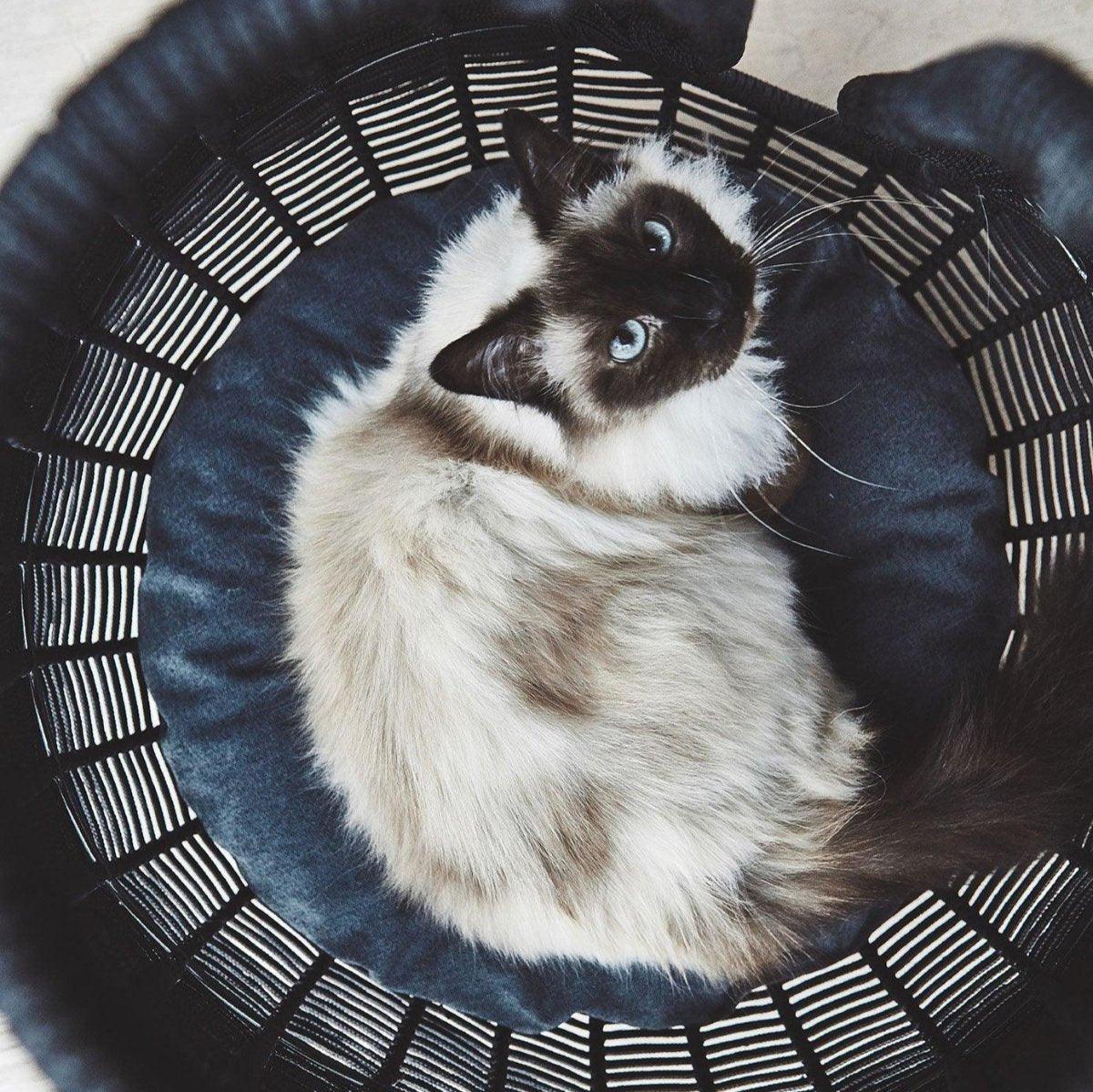 Housse de coussin du panier Perla - Kasibe