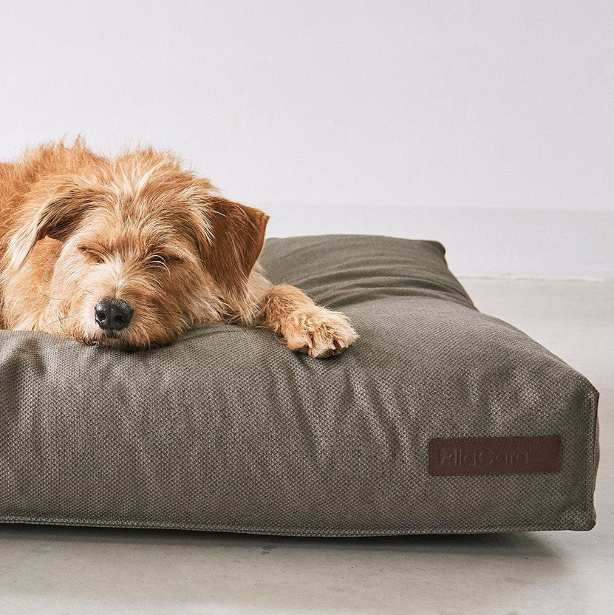 Housse de coussin pour chien en fibre Seaqual - MARE - Kasibe