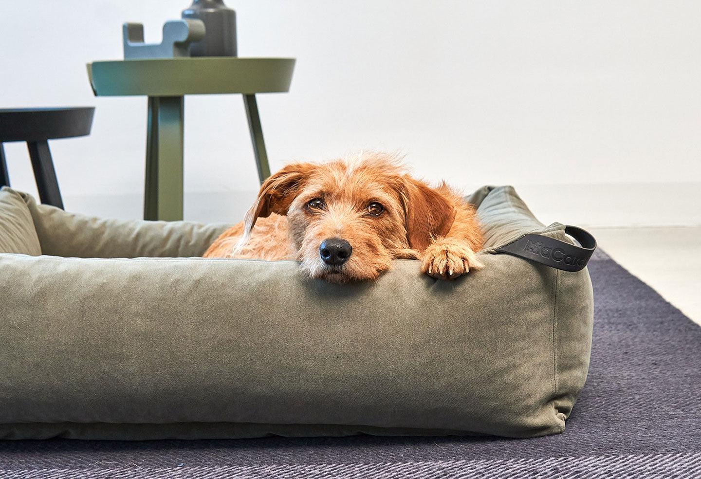 Housse de lit pour chien - VELLUTO - kasibe