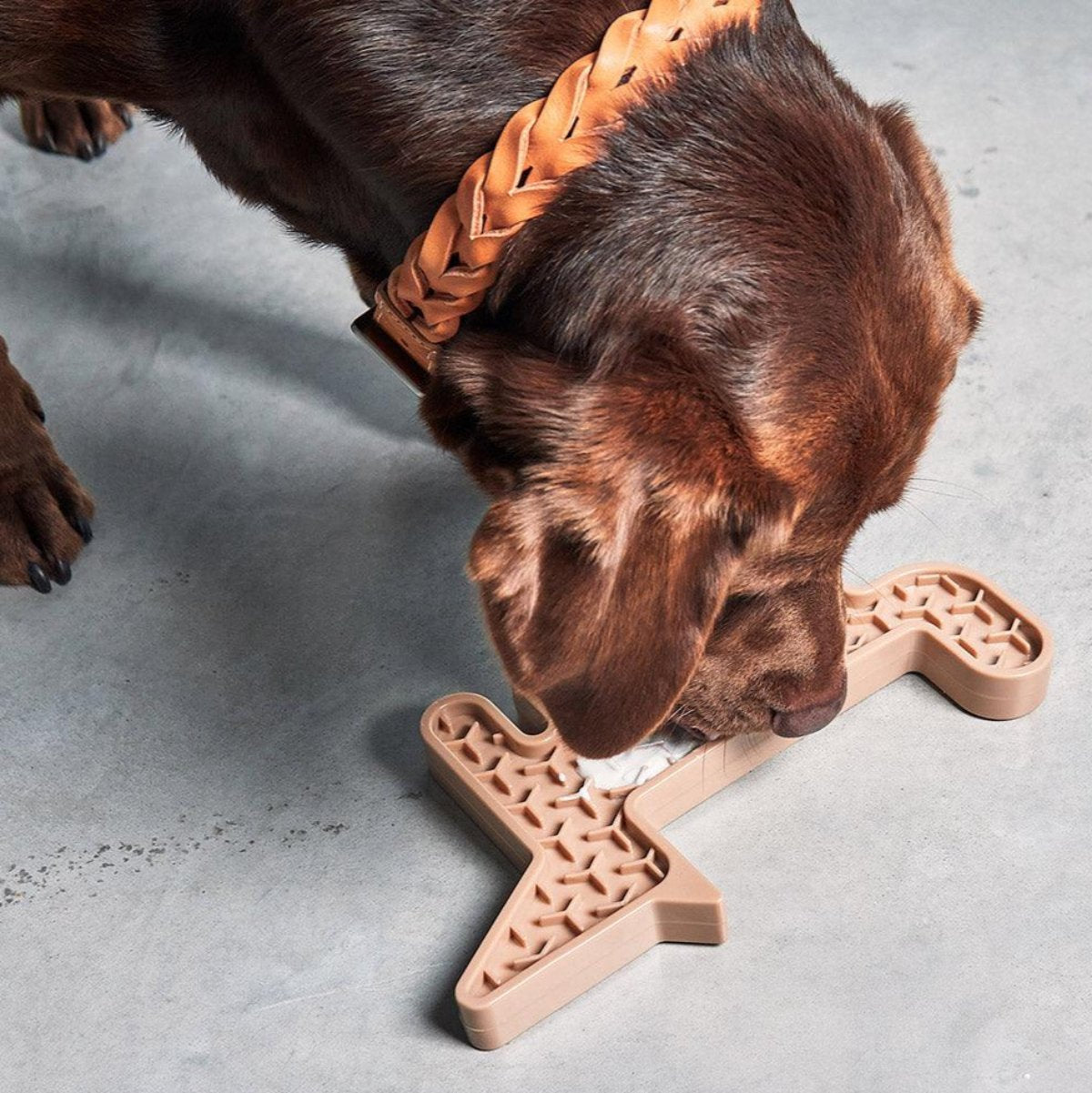 Jouet d'activité pour chien - VOLPE - Kasibe