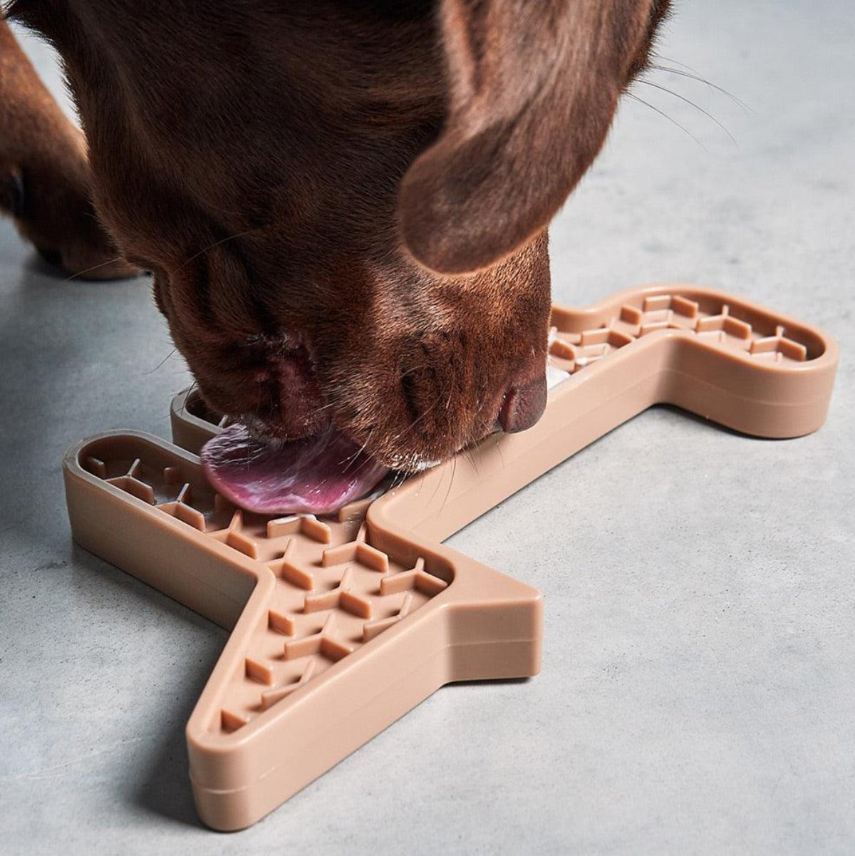Jouet d'activité pour chien - VOLPE - Kasibe