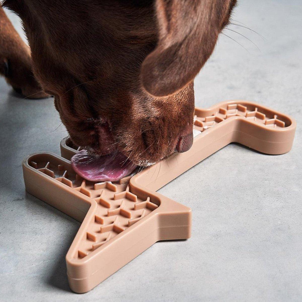 Jouet d'activité pour chien - VOLPE - Kasibe