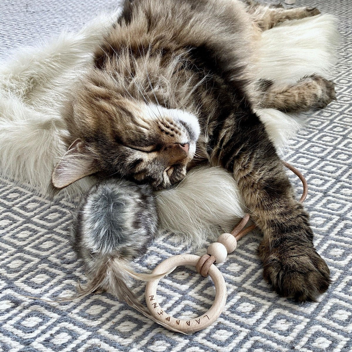 Jouet élégant pour chat (lot de 2) - MUSSE - Kasibe
