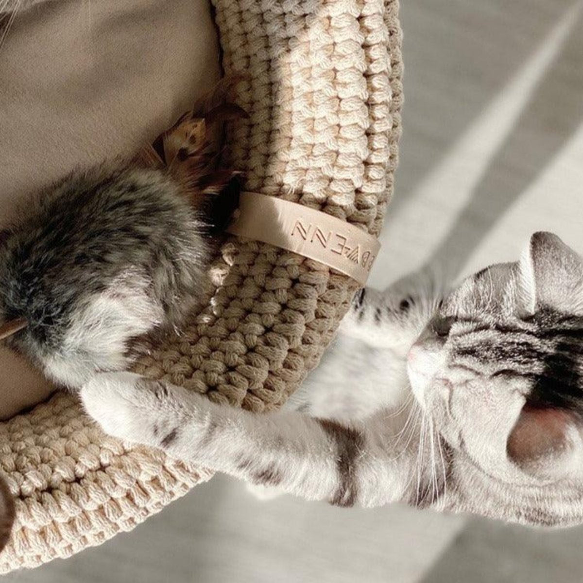 Jouet élégant pour chat (lot de 2) - MUSSE - Kasibe