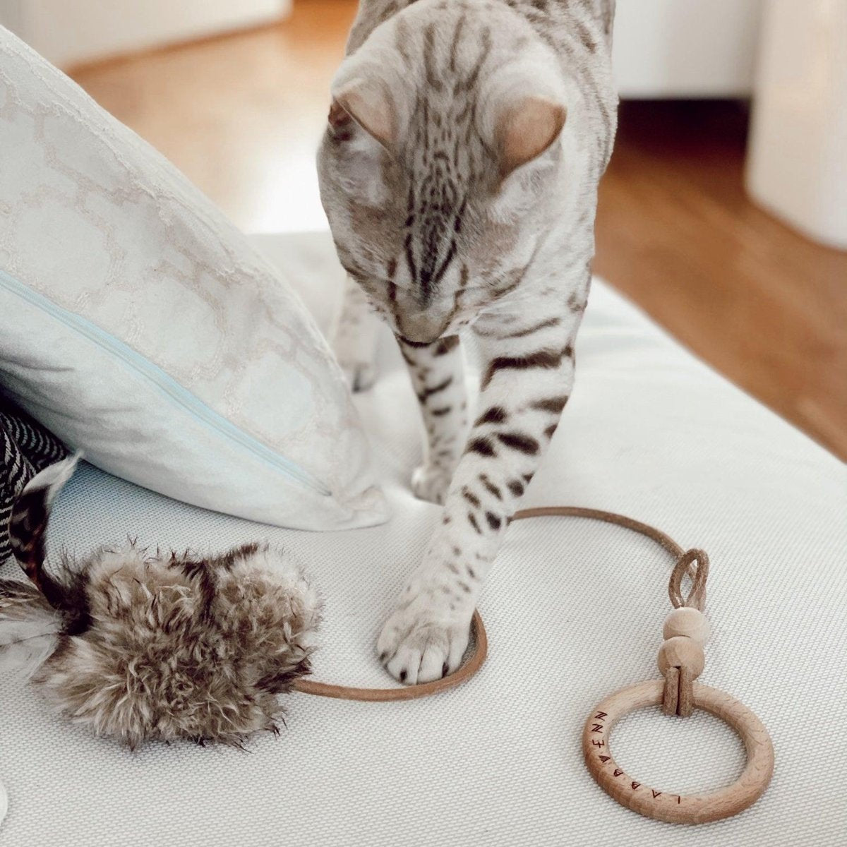 Jouet élégant pour chat (lot de 2) - MUSSE - Kasibe