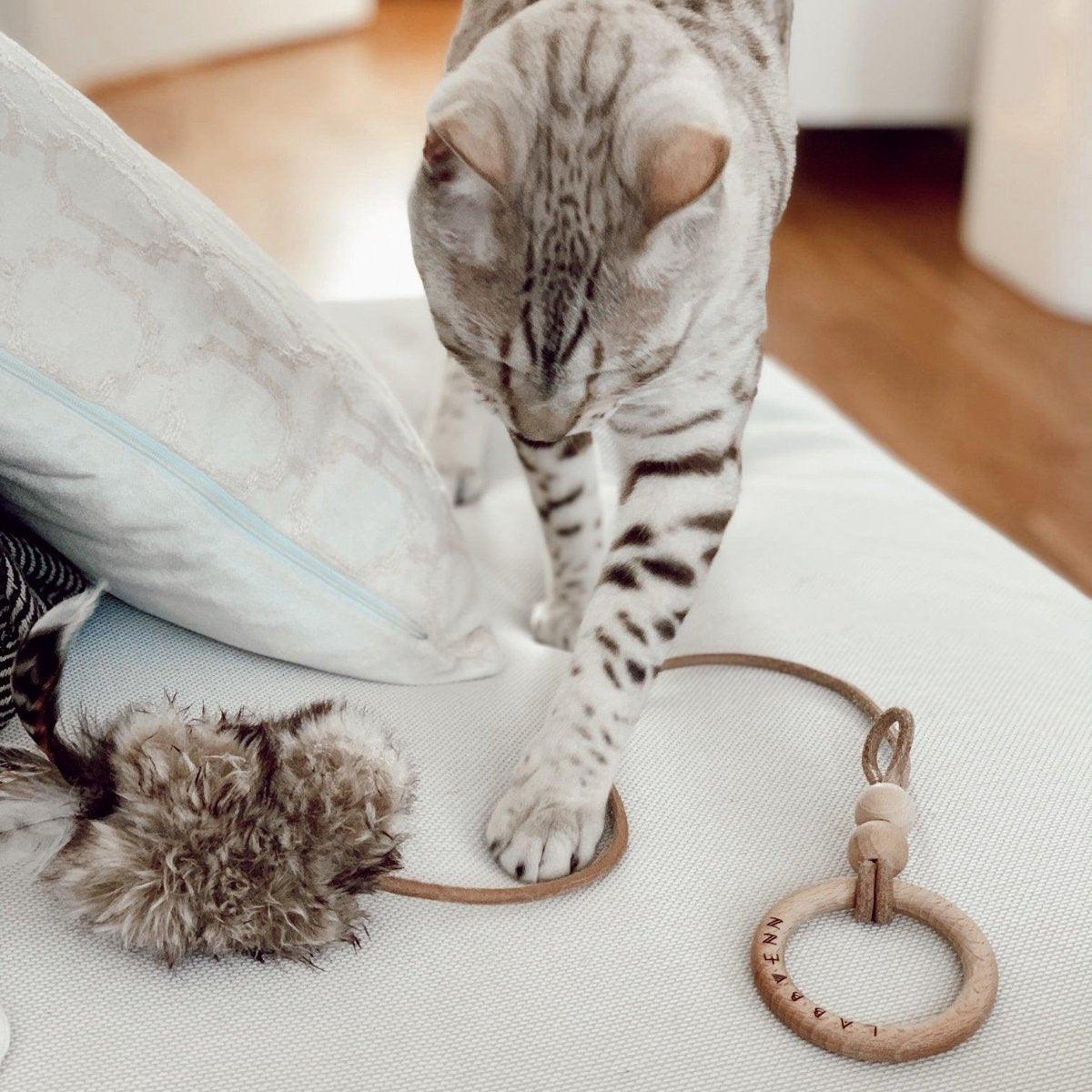 Jouet élégant pour chat (lot de 2) - MUSSE - Kasibe