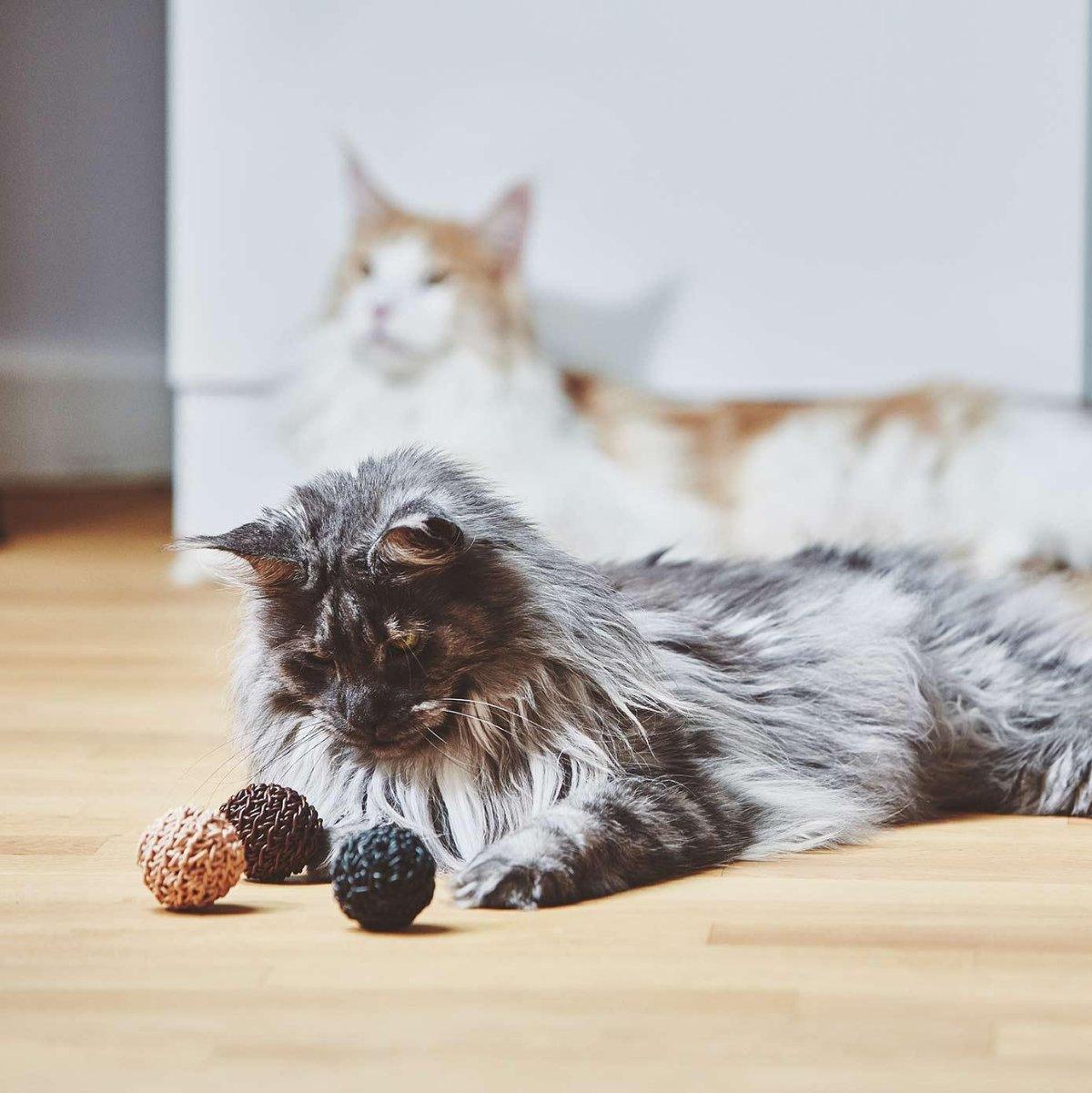Jouet naturel pour chat (lot de 3) - FILO - Kasibe