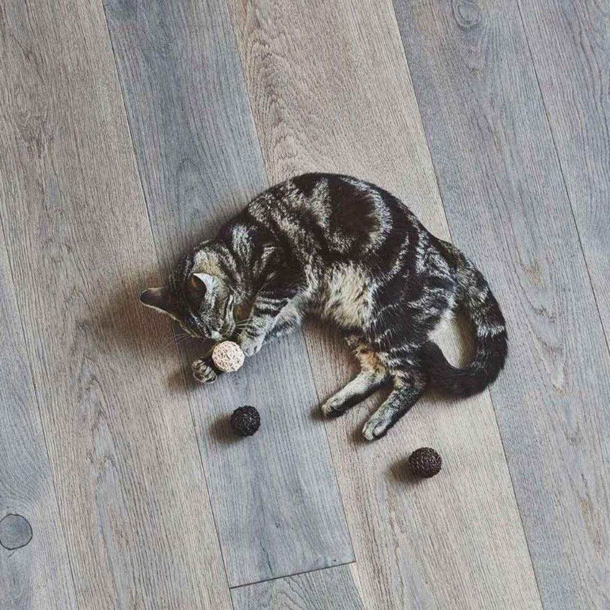 Jouet naturel pour chat (lot de 3) - FILO - Kasibe