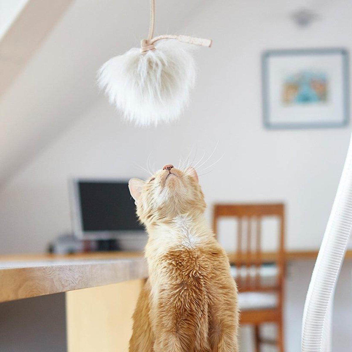 Jouet pompon pour chat (lot de 2) - TOPO - Kasibe