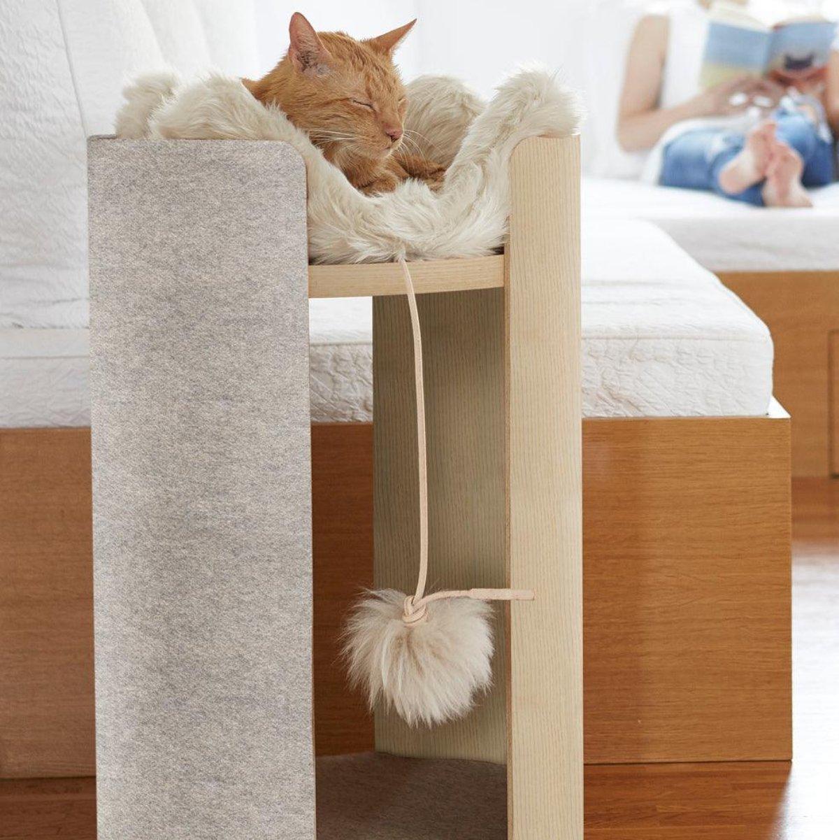 Jouet pompon pour chat (lot de 2) - TOPO - Kasibe