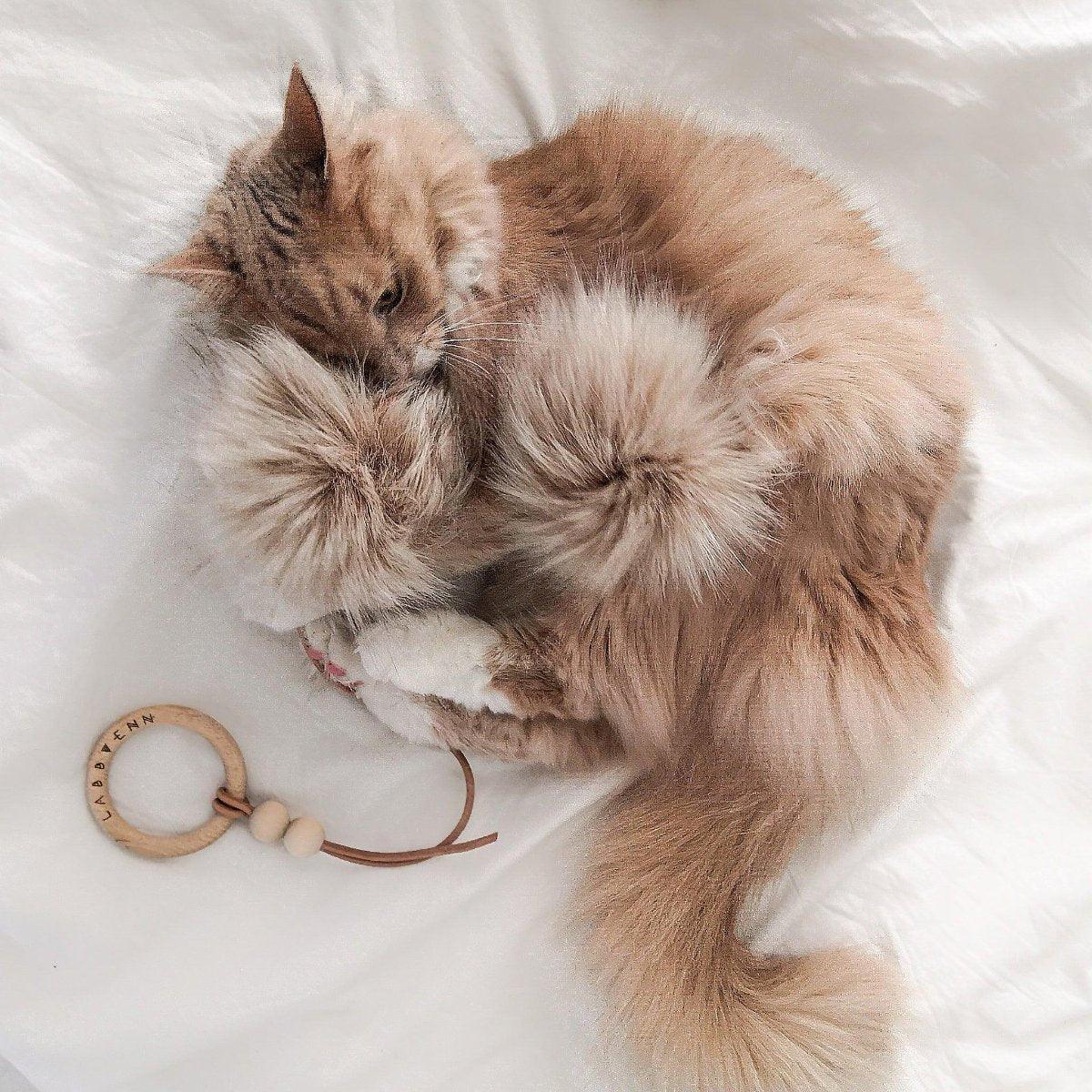 Jouet pour chat en fourrure (lot de 2) - TOLLO - Kasibe