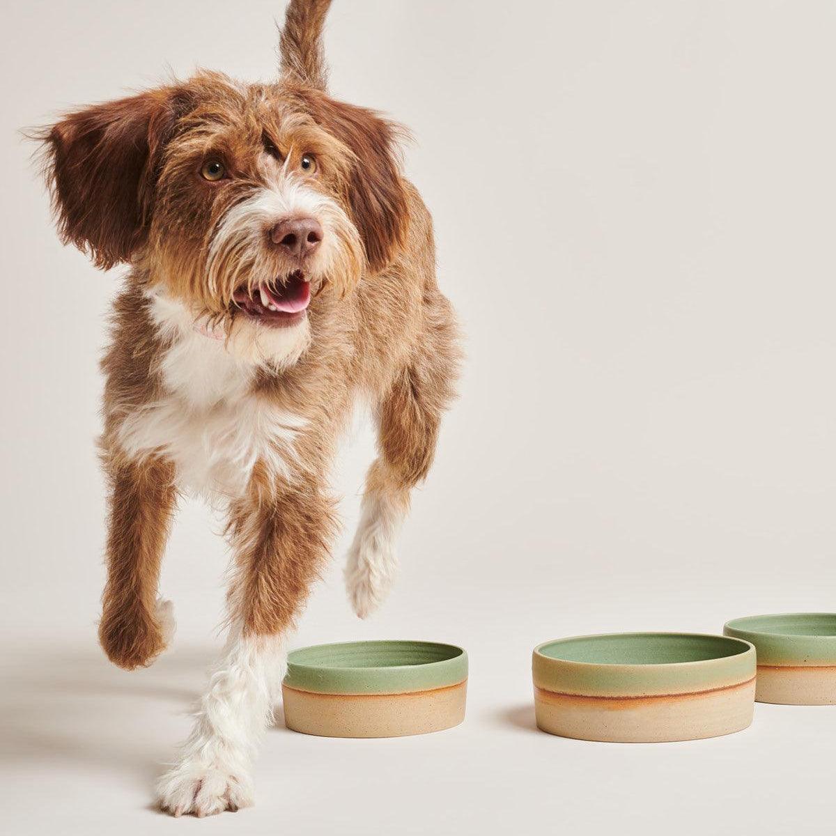Gamelle pour chien en céramique, création artisanale - Kasibe