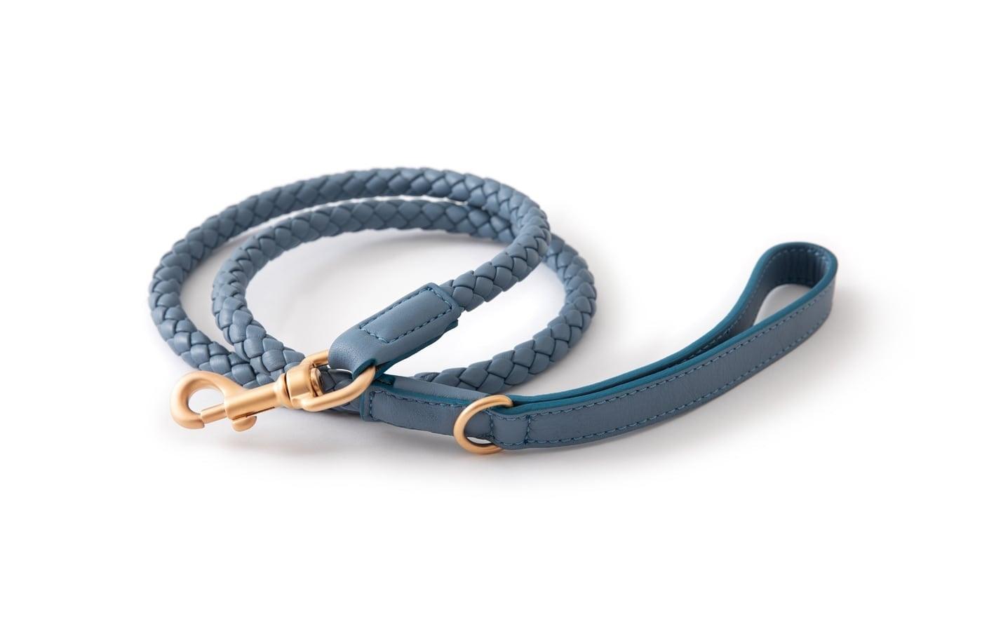 Laisse pour chien en cuir nappa aux couleurs flashy : Ferdinando - Kasibe