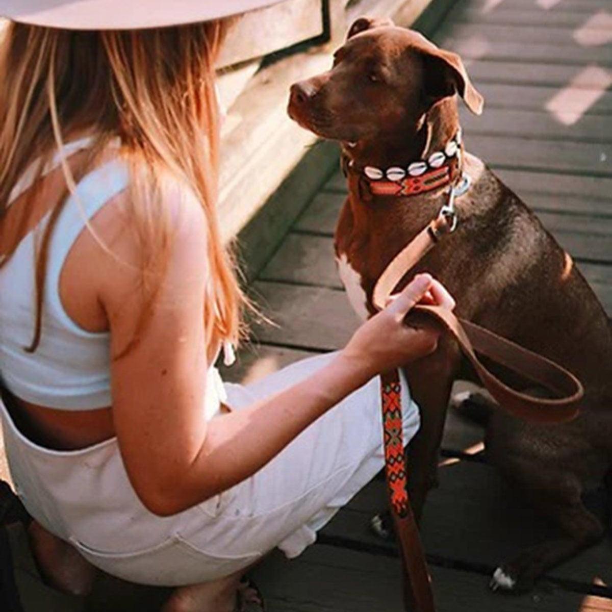 Laisse pour chien aux motifs mexicains brodée à la main - kasibe
