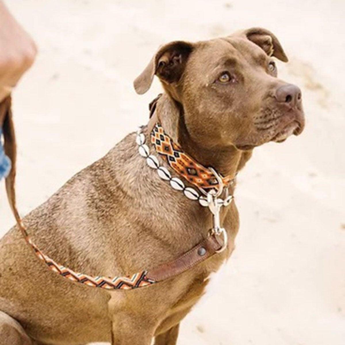 Laisse pour chien aux motifs mexicains brodée à la main - kasibe