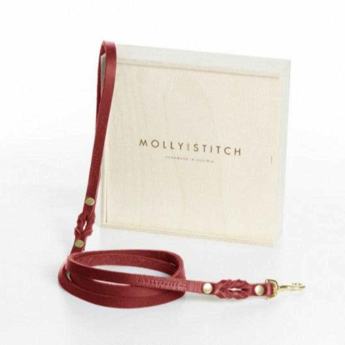 Laisse de ville pour chien - BUTTER CITY - Kasibe