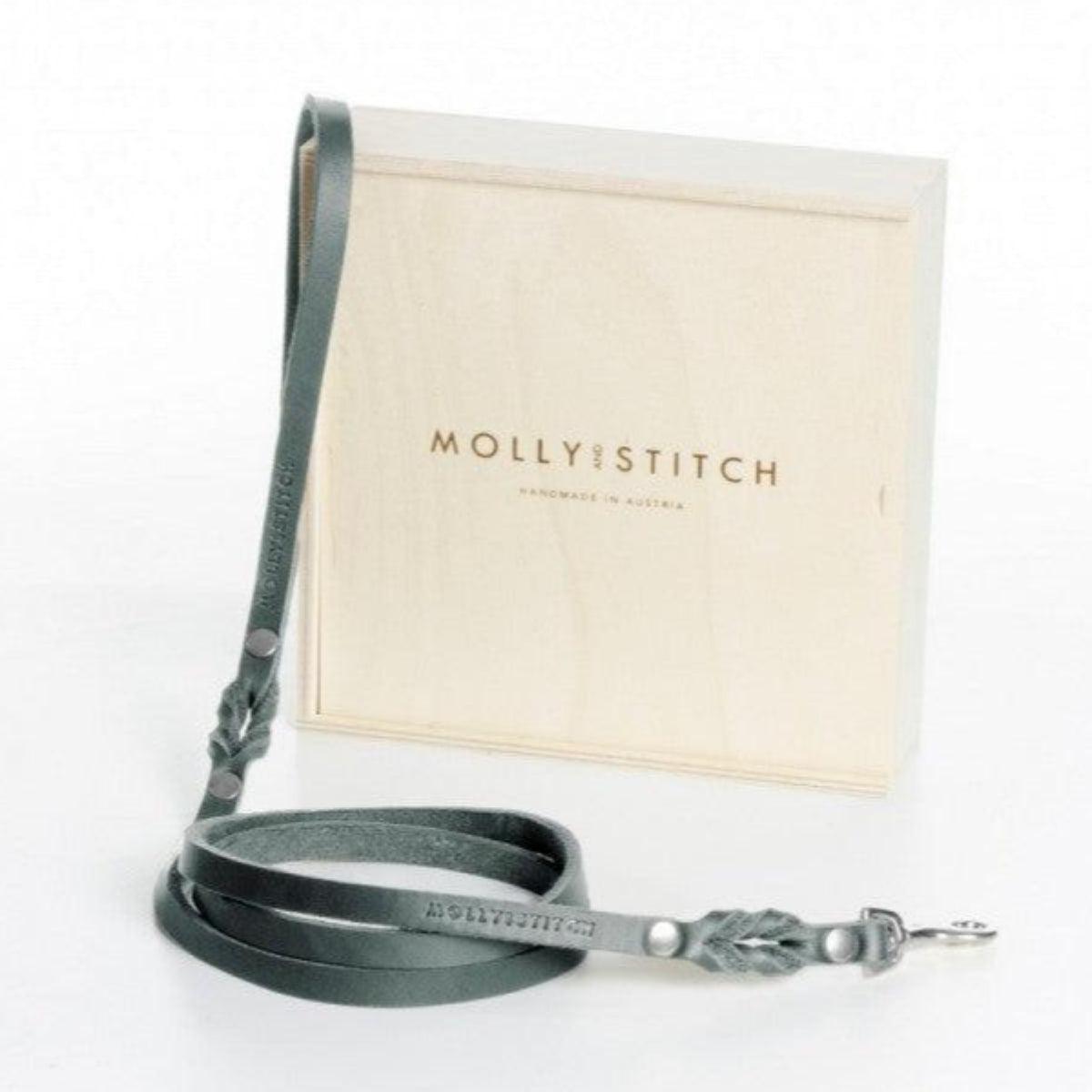 Laisse de ville pour chien - BUTTER CITY - Kasibe