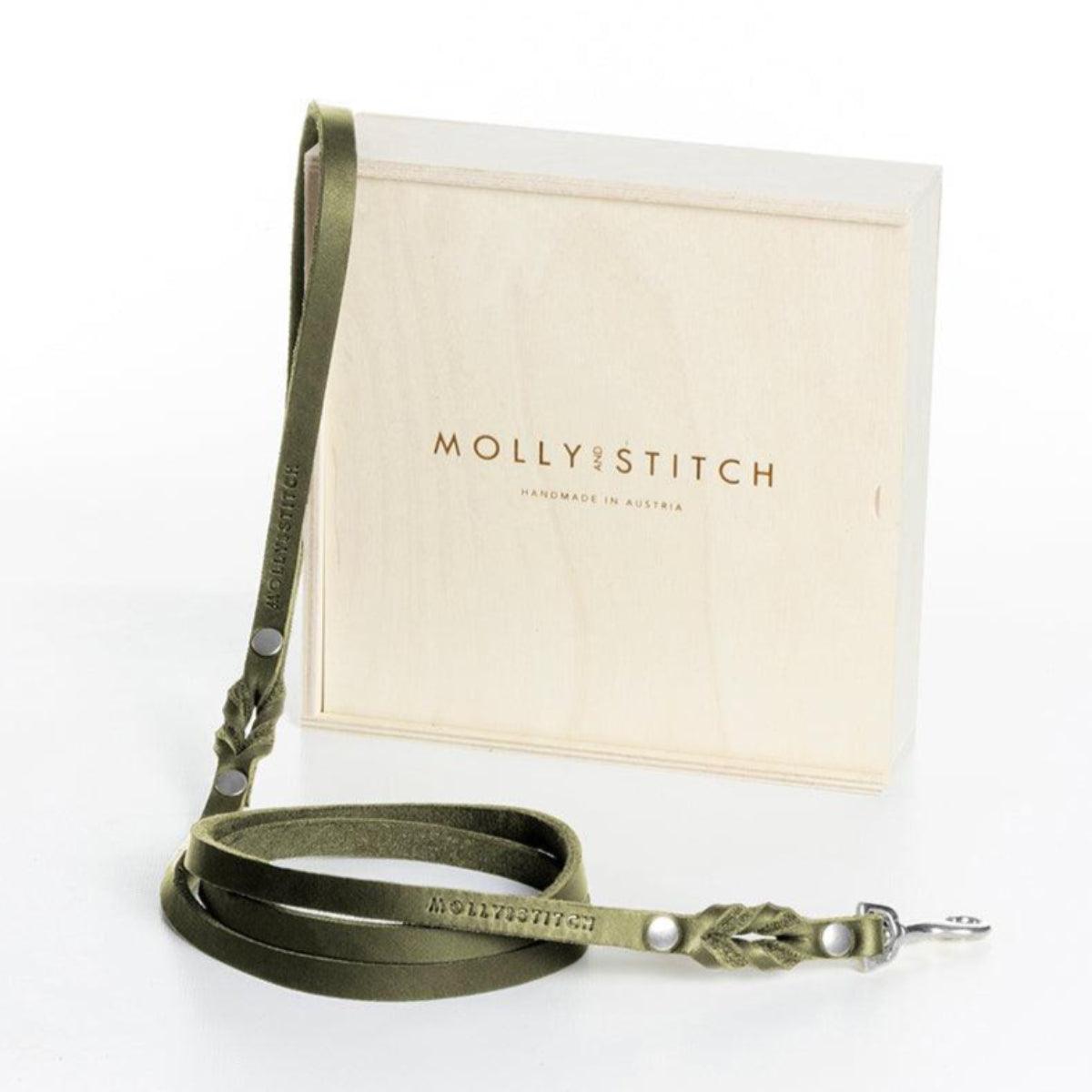 Laisse de ville pour chien - BUTTER CITY - Kasibe