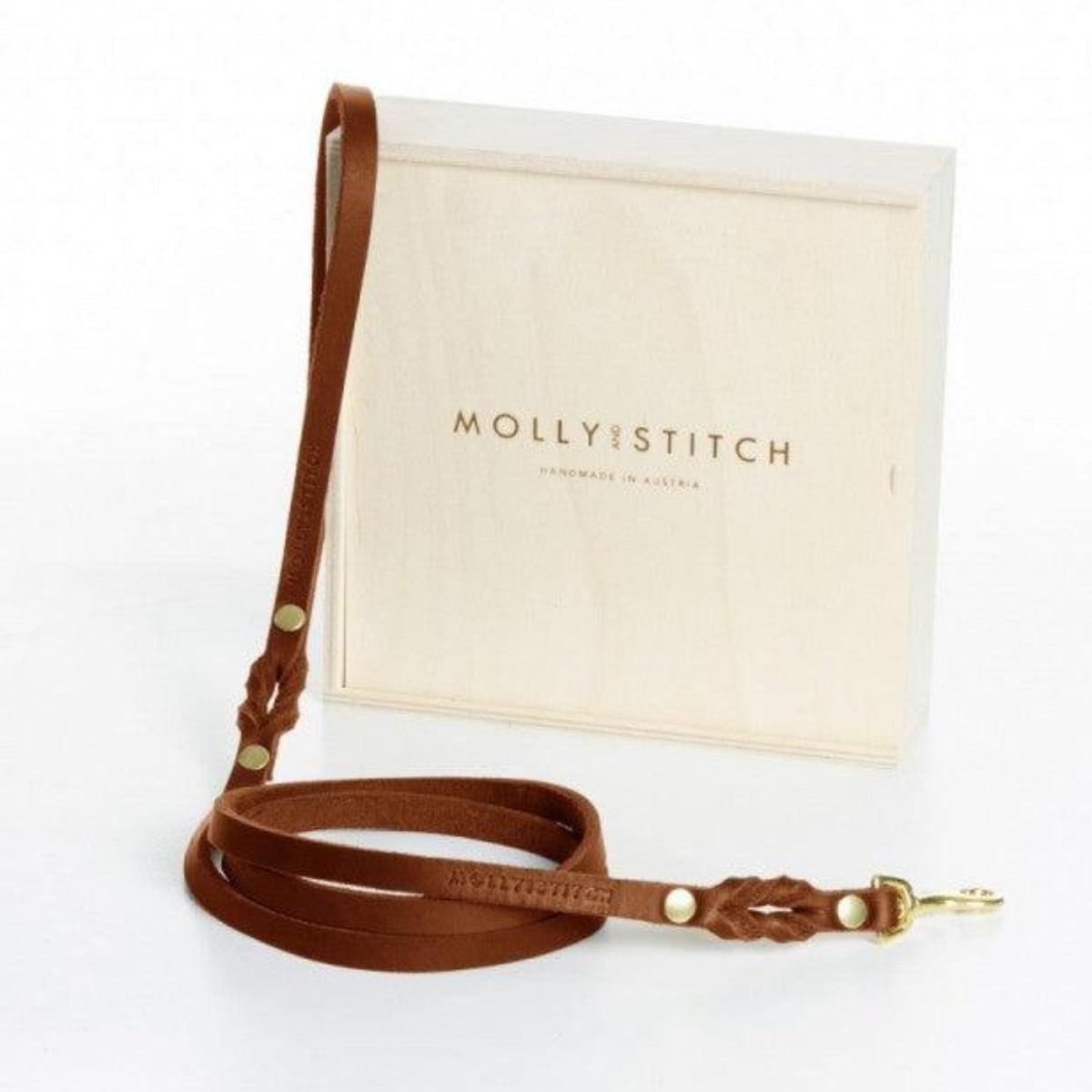 Laisse de ville pour chien - BUTTER CITY - Kasibe