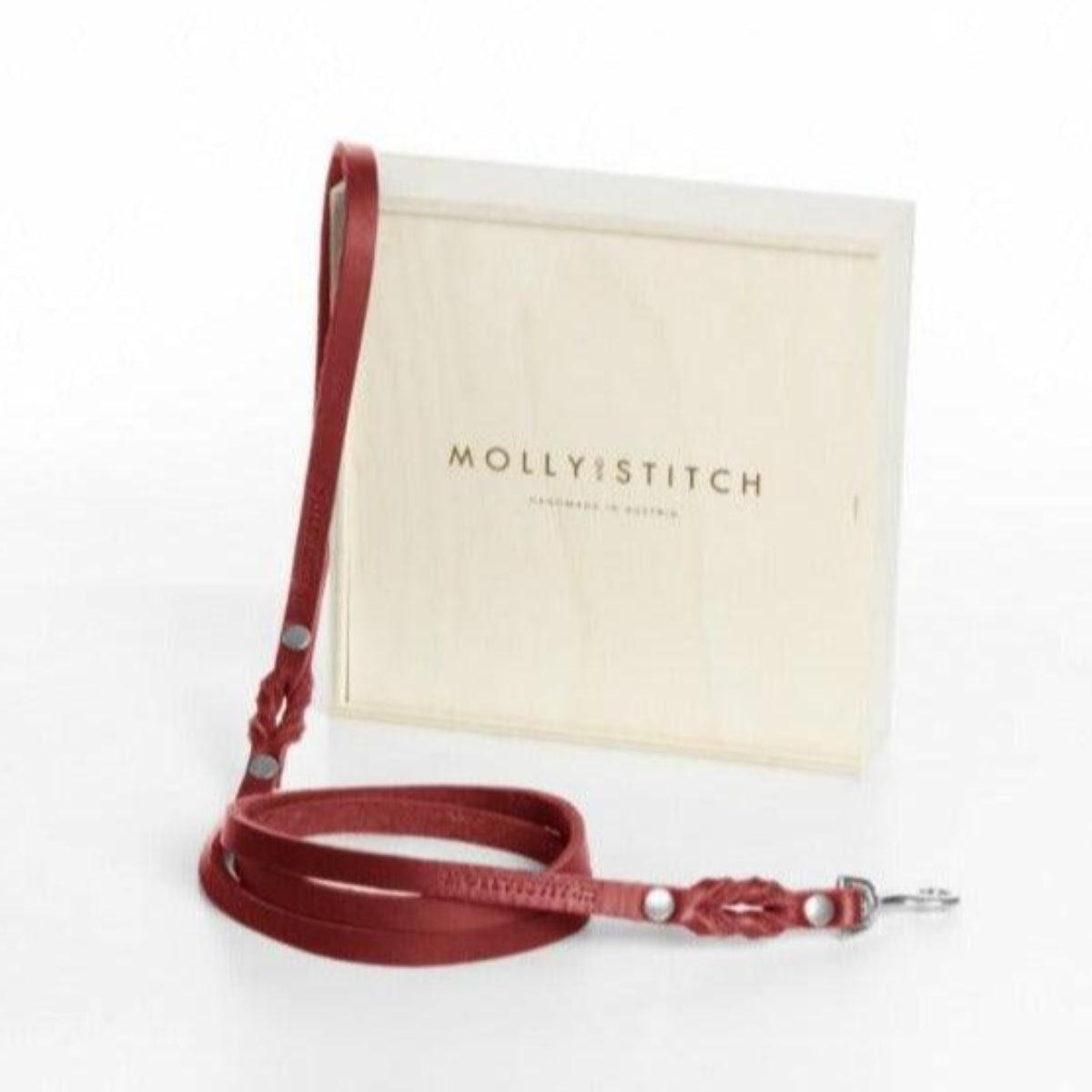 Laisse de ville pour chien - BUTTER CITY - Kasibe