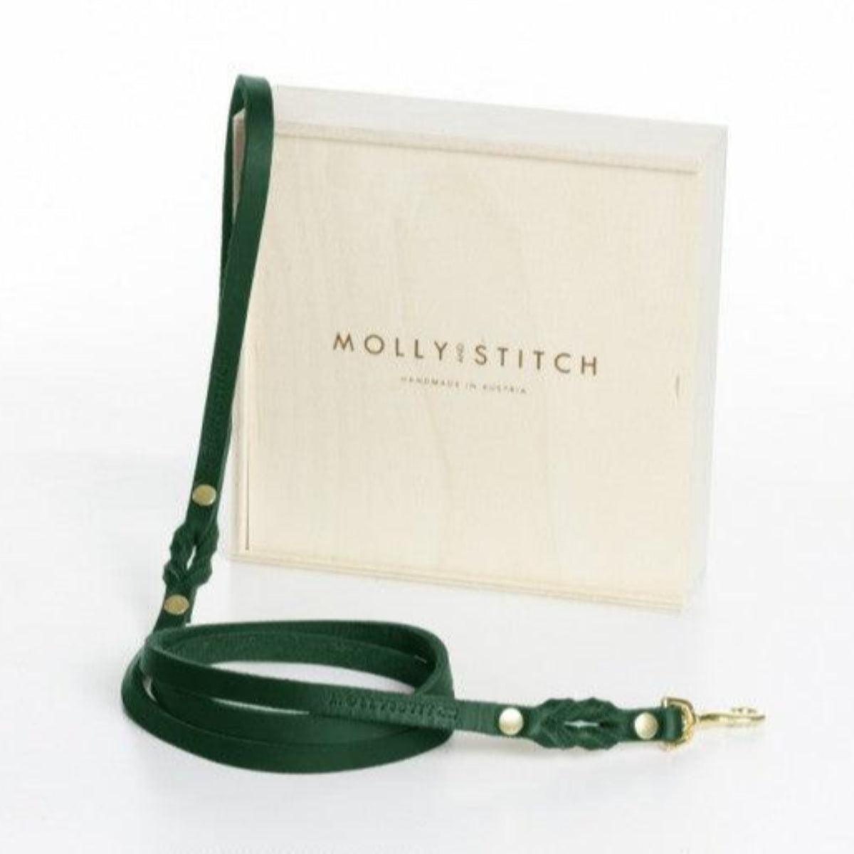 Laisse de ville pour chien - BUTTER CITY - Kasibe