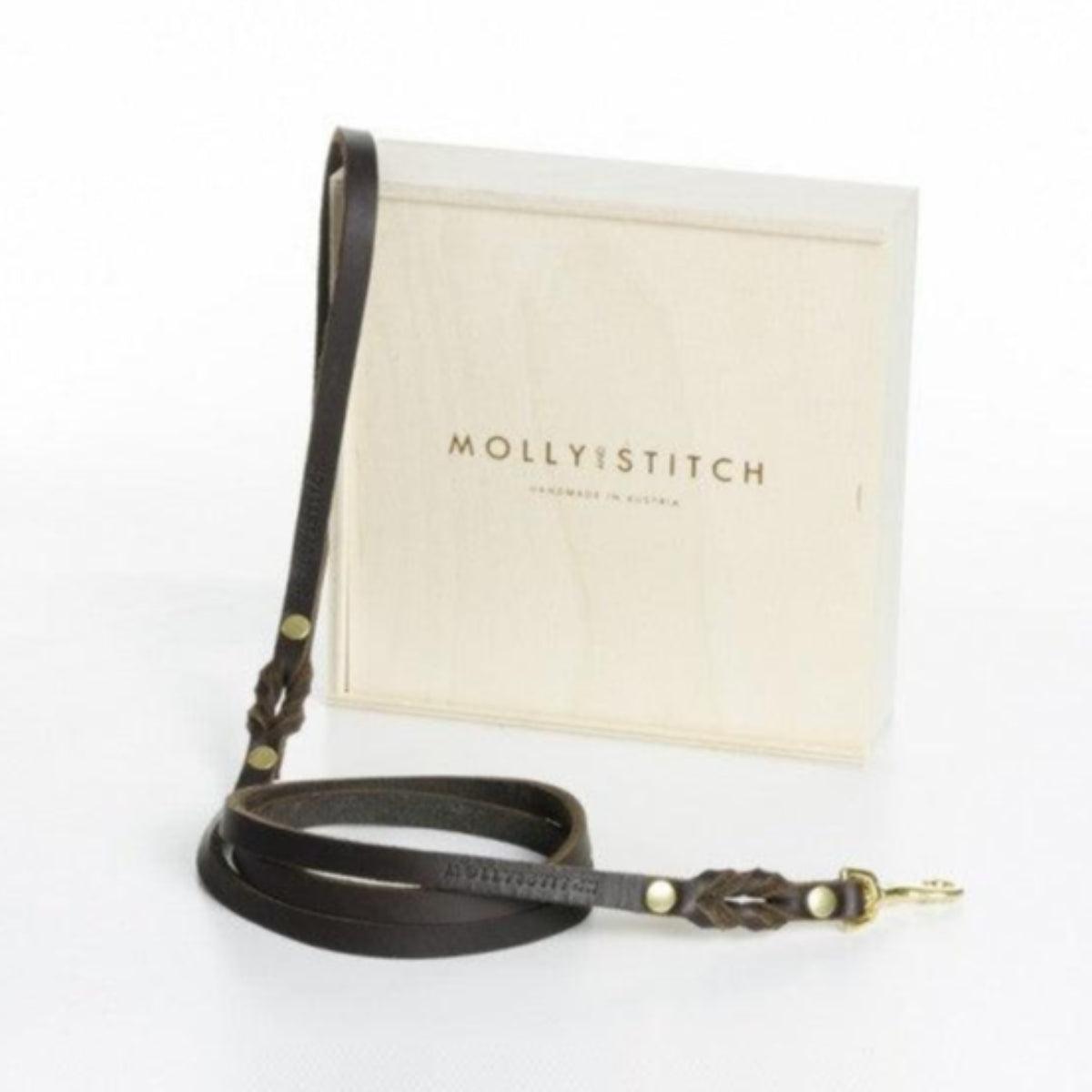 Laisse de ville pour chien - BUTTER CITY - Kasibe