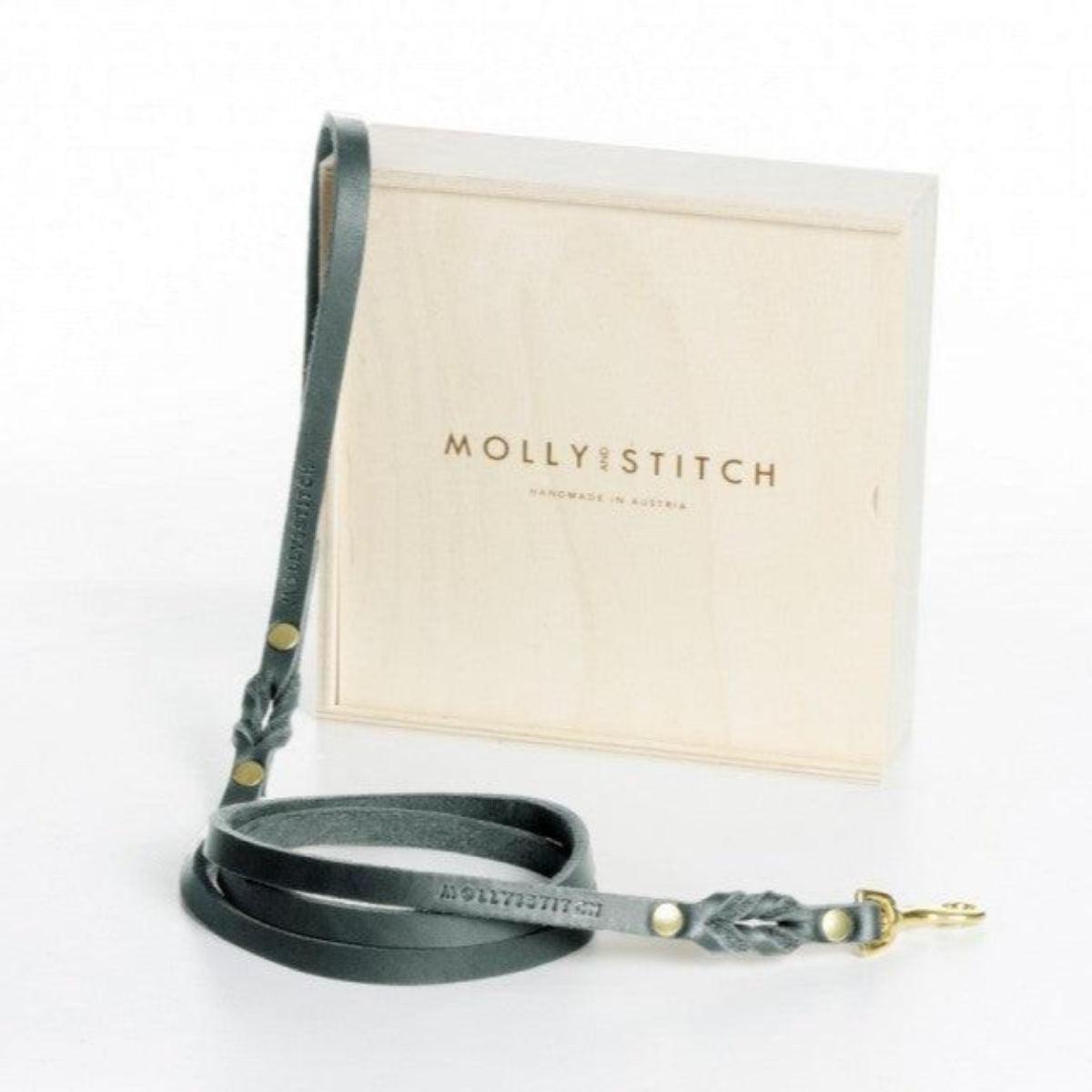 Laisse de ville pour chien - BUTTER CITY - Kasibe