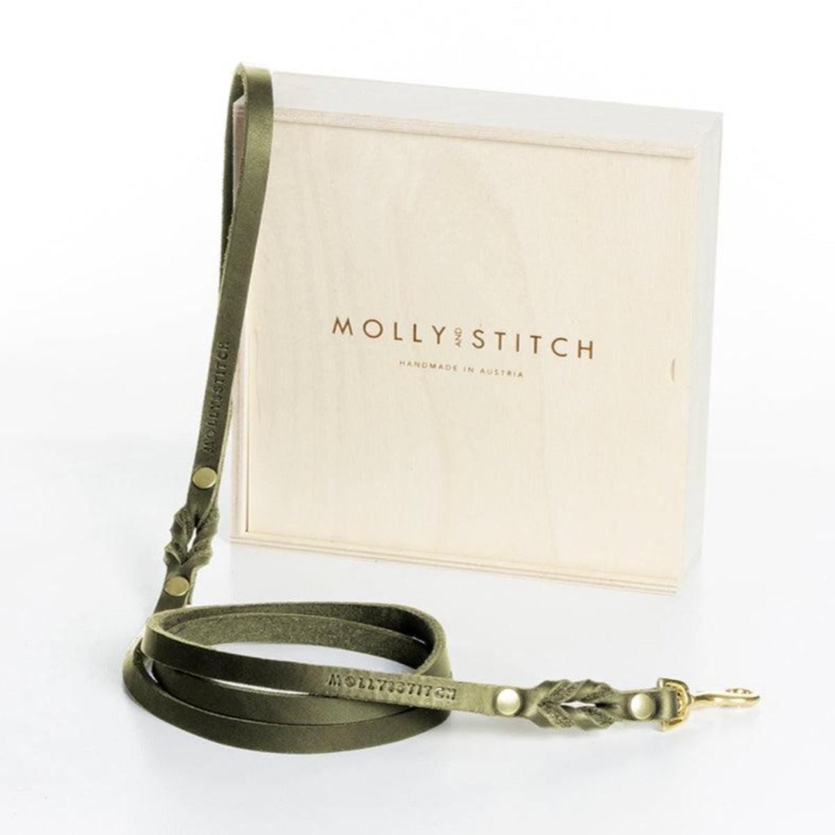 Laisse de ville pour chien - BUTTER CITY - Kasibe