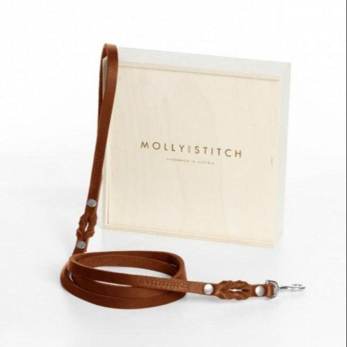 Laisse de ville pour chien - BUTTER CITY - Kasibe