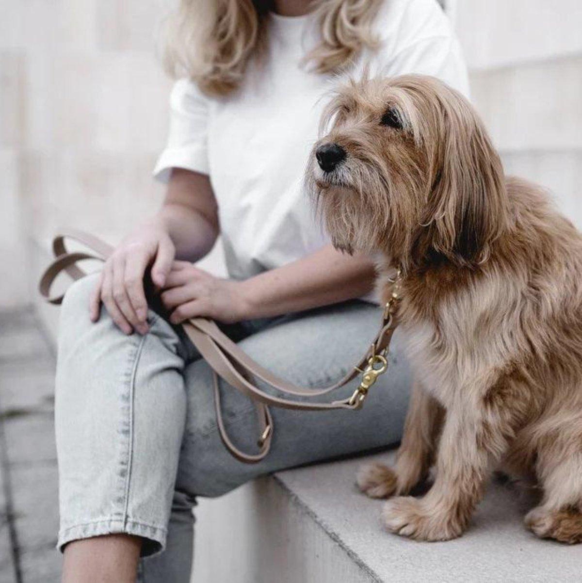 Laisse longue pour chien - LASSO - Kasibe