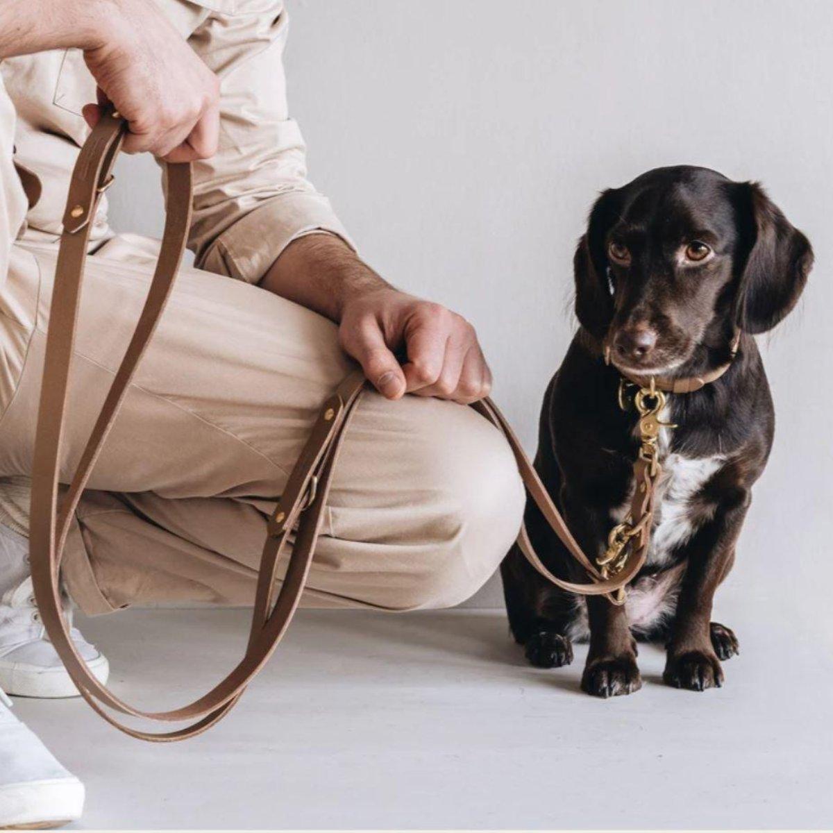 Laisse longue pour chien - LASSO - Kasibe